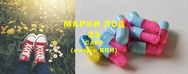 прущие крисы Аркадак