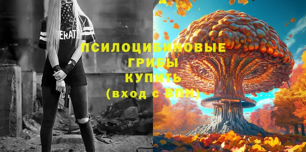 гашик Арсеньев
