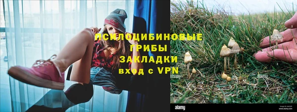 гашик Арсеньев