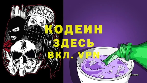 гашик Арсеньев