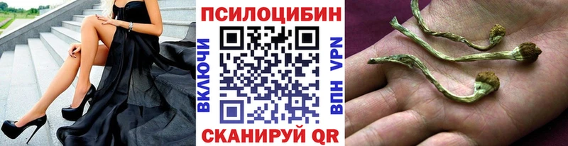 Псилоцибиновые грибы ЛСД  Магас 