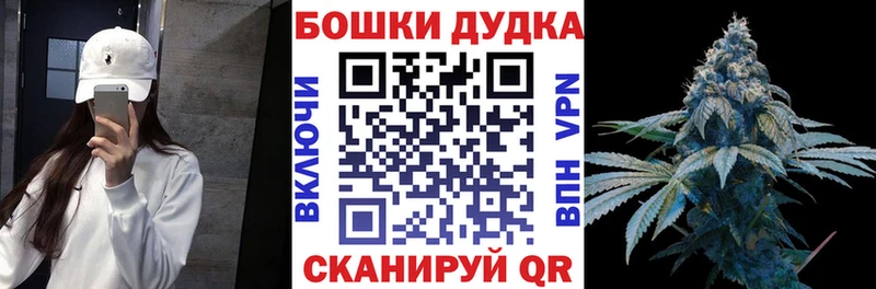 сколько стоит Магас Каннабис ГИДРОПОН